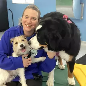 What makes Country Pup Kennel different from other boarding facilities?