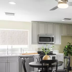 Envision Roller Shades in a guest house kitchen, featuring a modern pattern for a stylish touch.