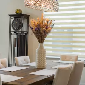 Soft light, sleek style. Dual sheer shades, or zebra shades, offer the perfect blend of privacy and glow—ideal for a unique touch to any space.
