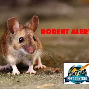 Bild von Certified Pest Control