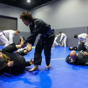 Bild von Hamel Jiu Jitsu Club