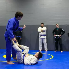 Bild von Hamel Jiu Jitsu Club
