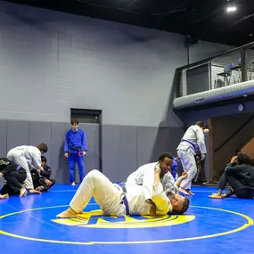 Bild von Hamel Jiu Jitsu Club