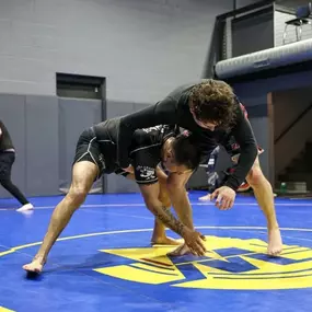 Bild von Hamel Jiu Jitsu Club