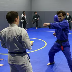 Bild von Hamel Jiu Jitsu Club