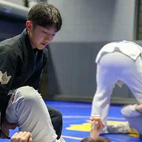 Bild von Hamel Jiu Jitsu Club