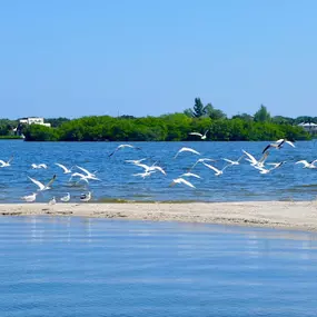 Bild von Florida Boat Rentals