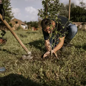 Bild von Sal's Landscape & Tree Service