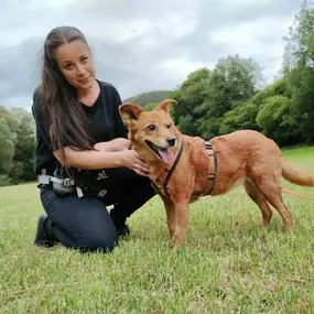 Bild von Hundetraining mit Herz