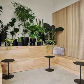 Bild von Dang Physical Therapy