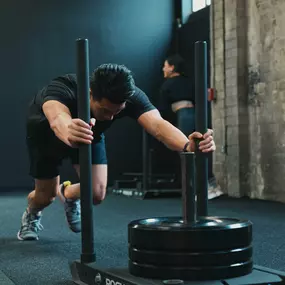 Bild von Dang Physical Therapy