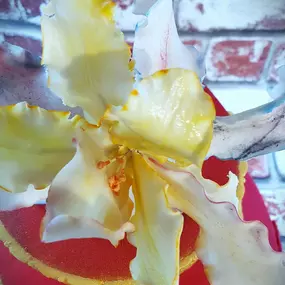 Bild von SweeterPeter