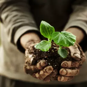 Bild von Società agricola Terregenera