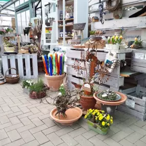 Bild von Martinshof Bremen - Gärtnerei im Suhrfelde