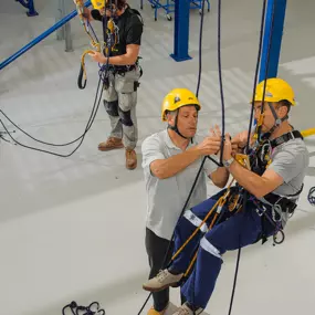Bild von Dangle Academy