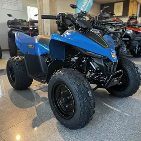 Bild von Autoscheune Gerlach e.K. - Auto, Quad, UTV & ATV Händler