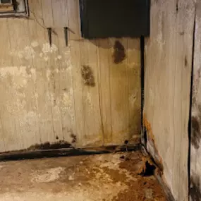 Bild von AIR Environmental Consulting LLC