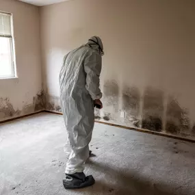 Bild von Voda Cleaning & Restoration