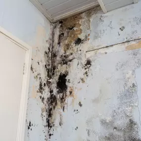 Bild von Voda Cleaning & Restoration