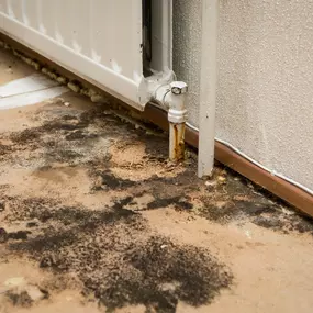 Bild von Voda Cleaning & Restoration