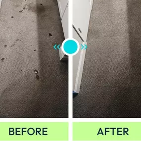 Bild von Voda Cleaning & Restoration