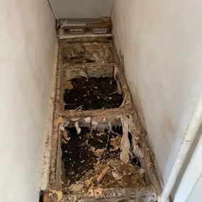 Bild von GET Damp Proofing Specialist