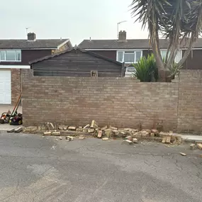 Bild von Arborist Tree Surgeons
