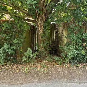 Bild von Arborist Tree Surgeons