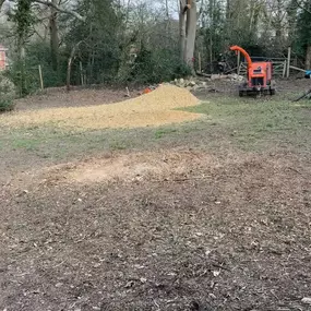 Bild von Arborist Tree Surgeons