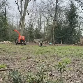 Bild von Arborist Tree Surgeons