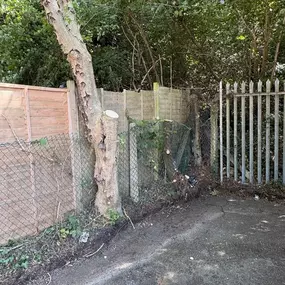 Bild von Arborist Tree Surgeons