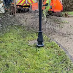 Bild von Arborist Tree Surgeons
