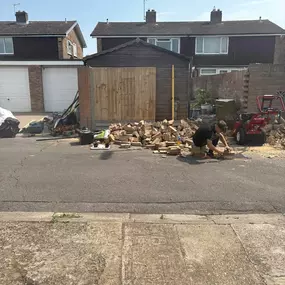 Bild von Arborist Tree Surgeons