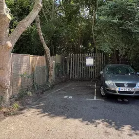 Bild von Arborist Tree Surgeons
