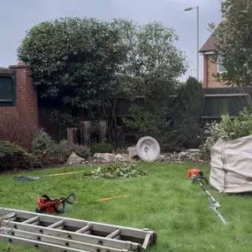 Bild von Arborist Tree Surgeons