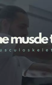 Bild von The Muscle Therapy
