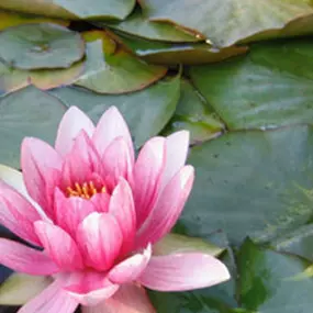 Bild von Hausarztpraxis Sabine Plietsch