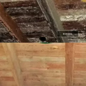 Bild von Voda Cleaning & Restoration