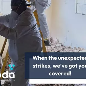 Bild von Voda Cleaning & Restoration
