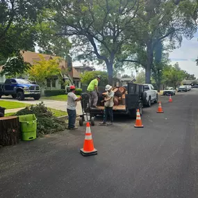 Three workers from Clark's Tree Works are on a residential street, loading cut tree logs and branches onto a trailer. Traffic cones mark off the work area, demonstrating their efficient tree removal and cleanup services.