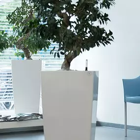 Bild von Welldent - Zahnzentrum am Zülpicher Platz