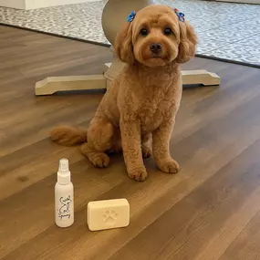 Bild von Magnolia Soap and Bath Co- Lithia