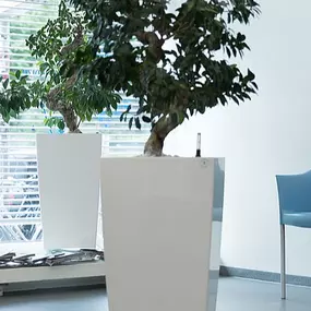 Bild von Zahnmedizinisches Versorgungszentrum Welldent GmbH - Zahnklinik Hansaring
