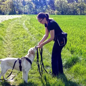 Ein konzentrierter Trainingsmoment auf freiem Feld – Leinenarbeit mit positiver Bestärkung für mehr Vertrauen und Struktur im Alltag.