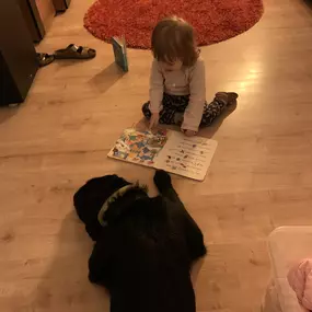 Mensch und Hund in harmonischem Miteinander – hier teilt ein Kind ganz selbstverständlich den Raum mit seinem vierbeinigen Begleiter. Unsere Hunde lernen, sich ruhig und gelassen im Familienalltag zu bewegen.