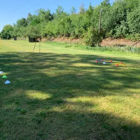 Unser weitläufiges Trainingsgelände im Grünen ist ideal für abwechslungsreiche Übungen mit Hütchen, Stangen und Parcours-Elementen. Hier trainieren Hunde konzentriert und mit Freude unter freiem Himmel.