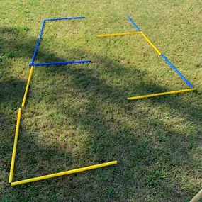 Die mobilen Stangen-Parcours ermöglichen gezieltes Koordinations- und Beweglichkeitstraining. Sie eignen sich hervorragend für Anfänger, Seniorenhunde oder zur Vorbereitung auf Agility.