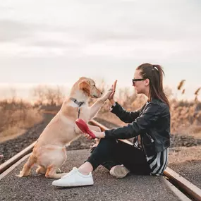 Training, Vertrauen und echte Verbindung: Mensch und Hund im harmonischen Miteinander. Der perfekte Moment im Alltagstraining.