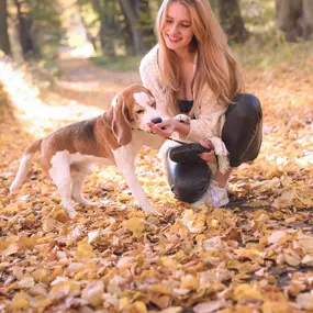 Coaching - Blindenführhundschule und Hundeverhaltensberatung Kluge Hunde