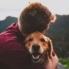 Vertrauen, Nähe und Geborgenheit – dieses Bild zeigt den emotionalen Kern jeder Mensch-Hund-Beziehung und die Kraft echter Verbindung.